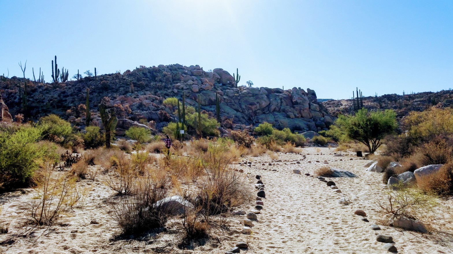 Photo of desert landscape en route to Baja, Mexico